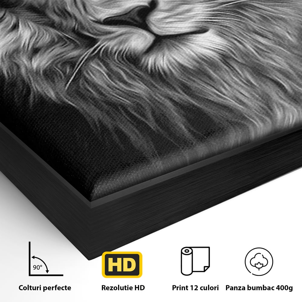 Detaliu al suprafetei: tablou canvas cu leu alb negru, in rama de aluminiu negru